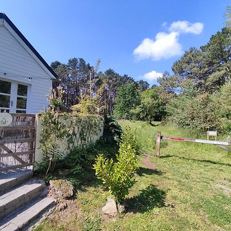 Chalet Cosy, Plages A Pieds. Morbihan. Plouhinec  Dış mekan fotoğraf