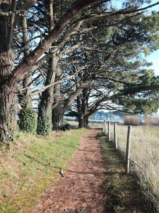 Chalet Cosy, Plages A Pieds. Morbihan. Plouhinec  Dış mekan fotoğraf